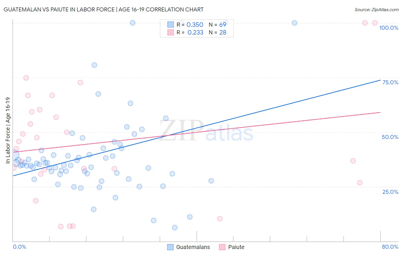 Guatemalan vs Paiute In Labor Force | Age 16-19