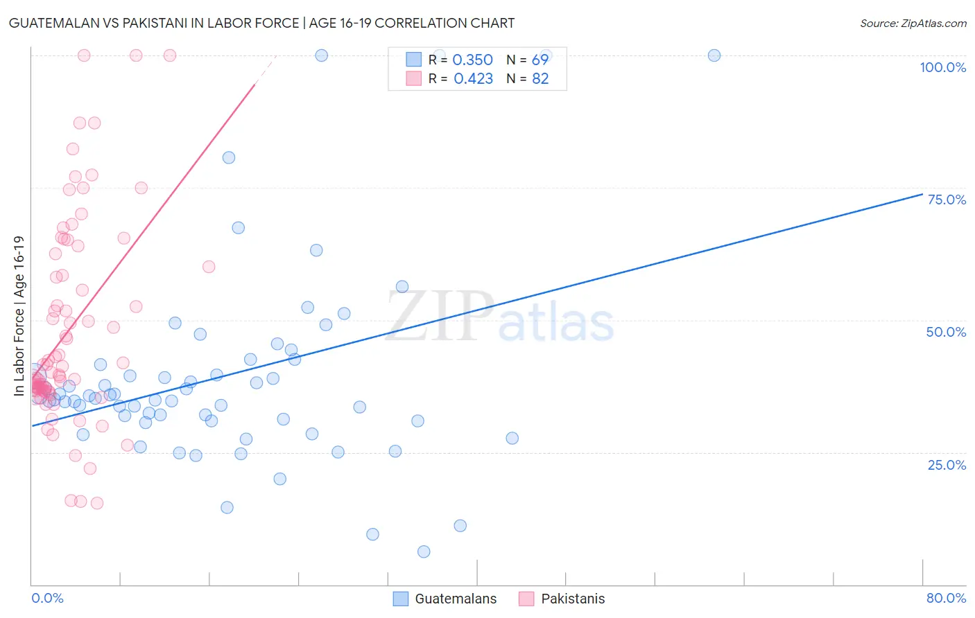 Guatemalan vs Pakistani In Labor Force | Age 16-19