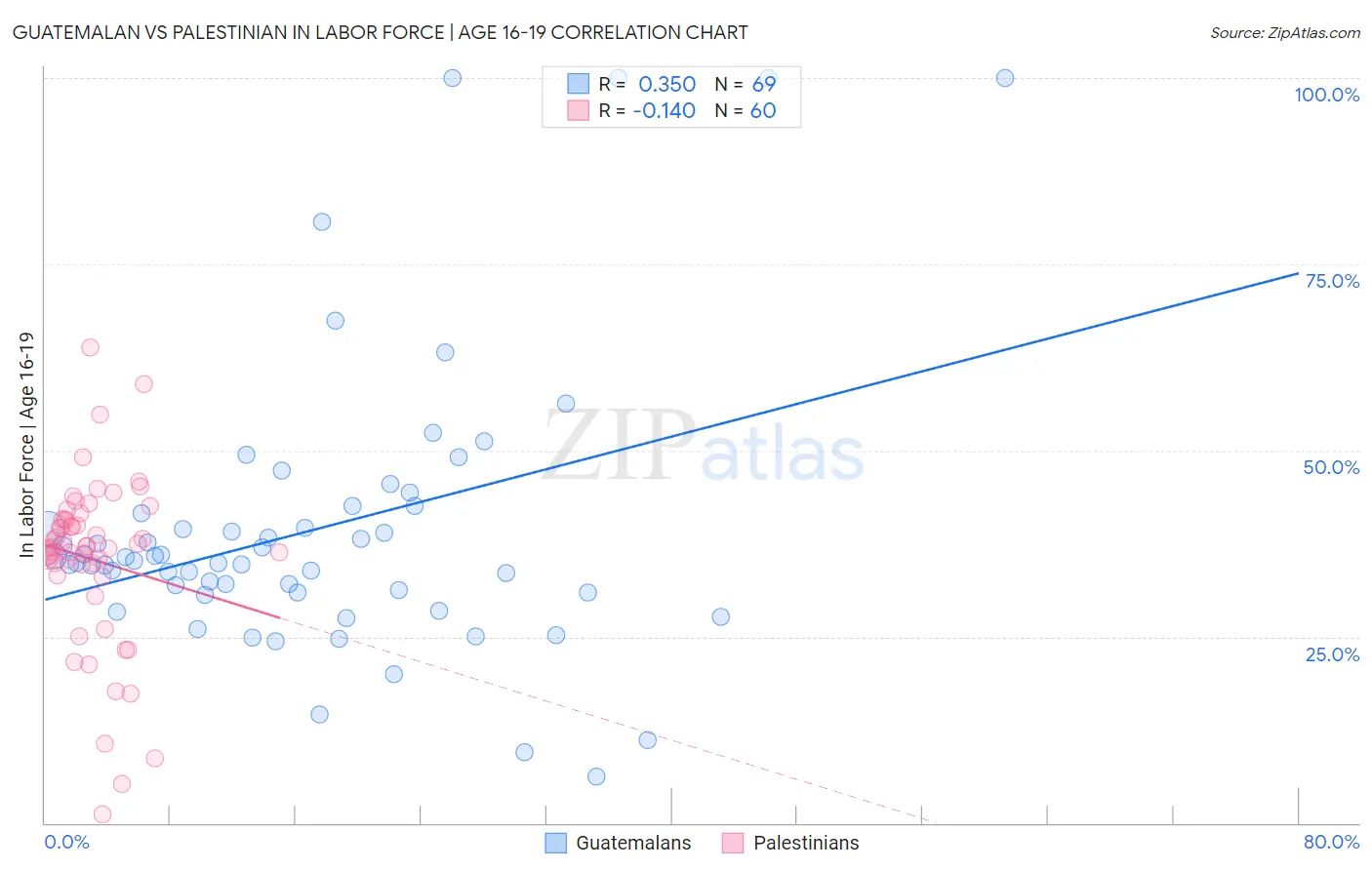 Guatemalan vs Palestinian In Labor Force | Age 16-19