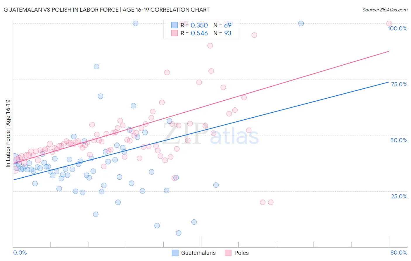 Guatemalan vs Polish In Labor Force | Age 16-19