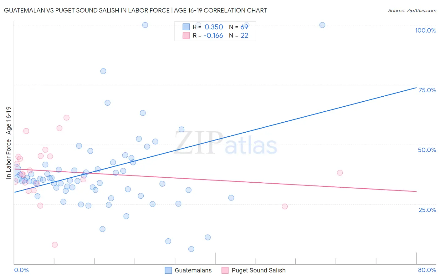 Guatemalan vs Puget Sound Salish In Labor Force | Age 16-19