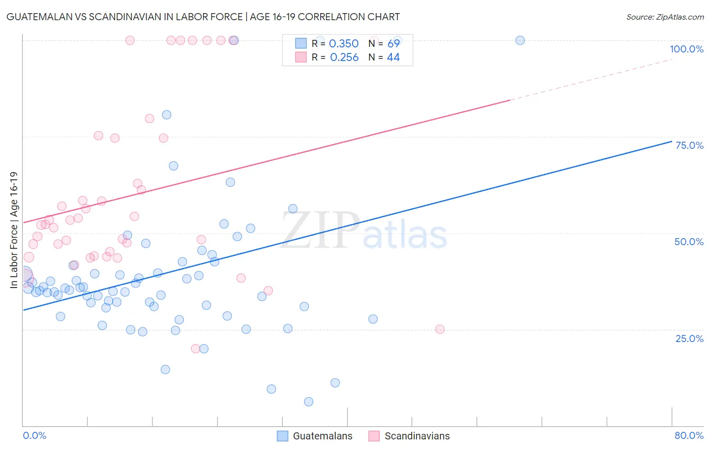 Guatemalan vs Scandinavian In Labor Force | Age 16-19