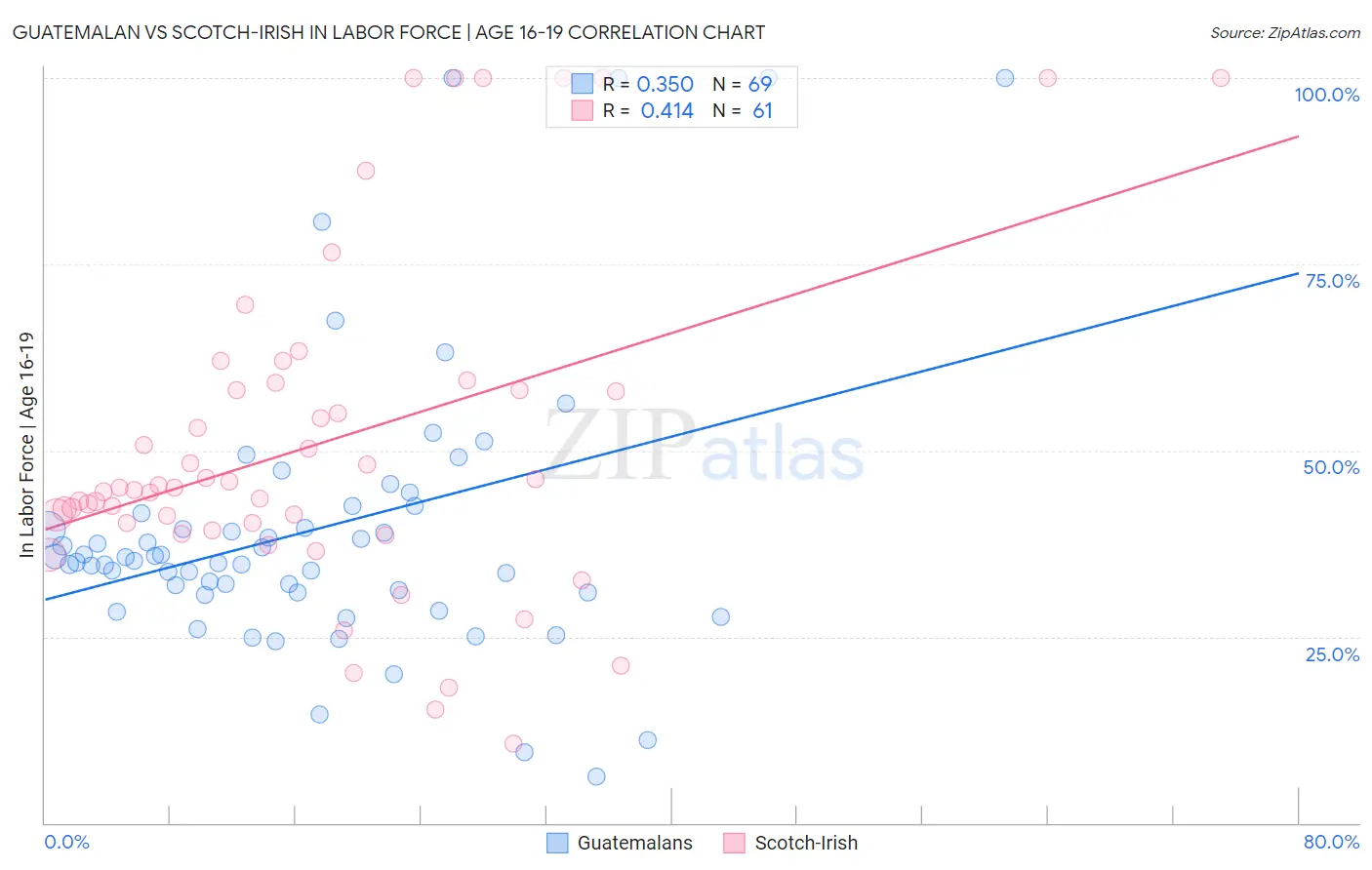Guatemalan vs Scotch-Irish In Labor Force | Age 16-19