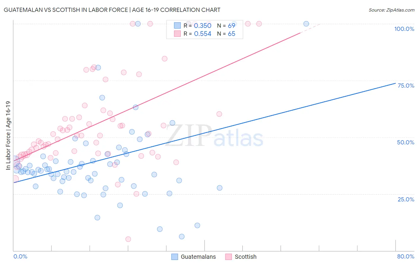 Guatemalan vs Scottish In Labor Force | Age 16-19