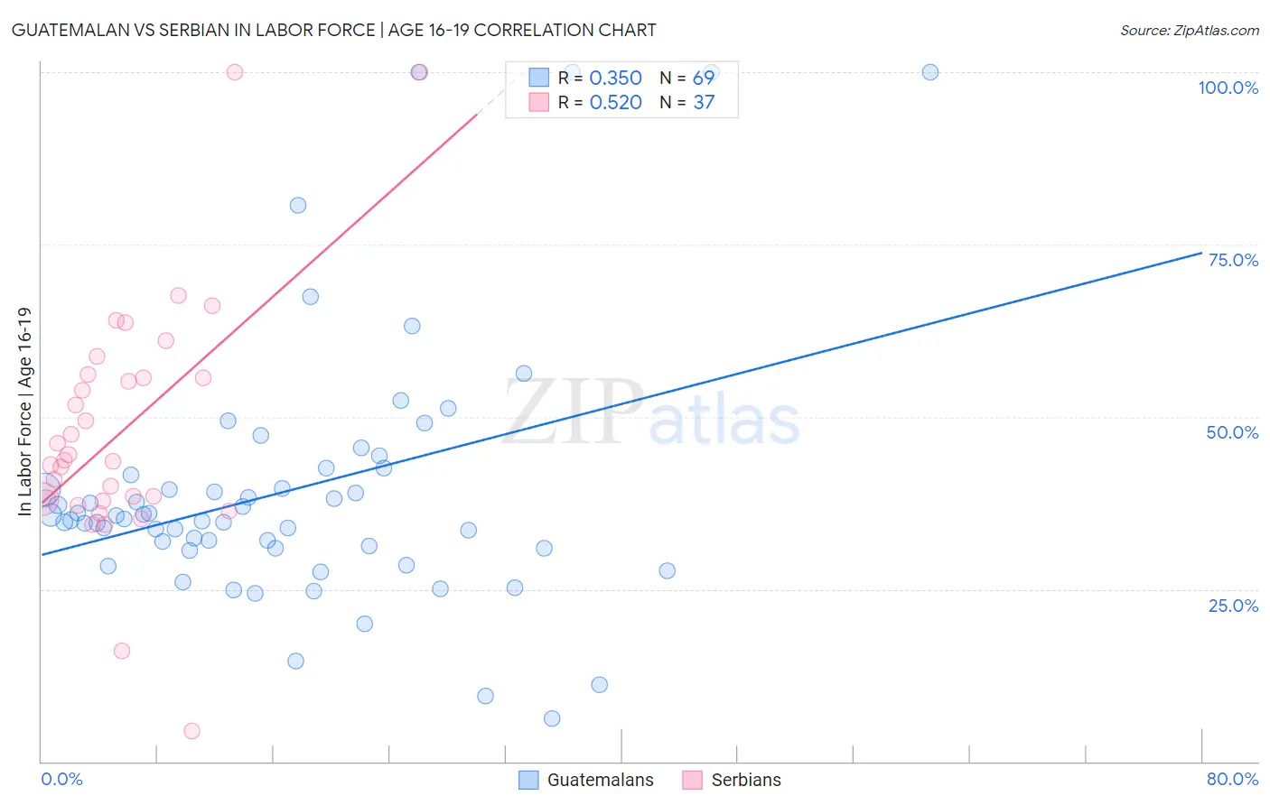 Guatemalan vs Serbian In Labor Force | Age 16-19