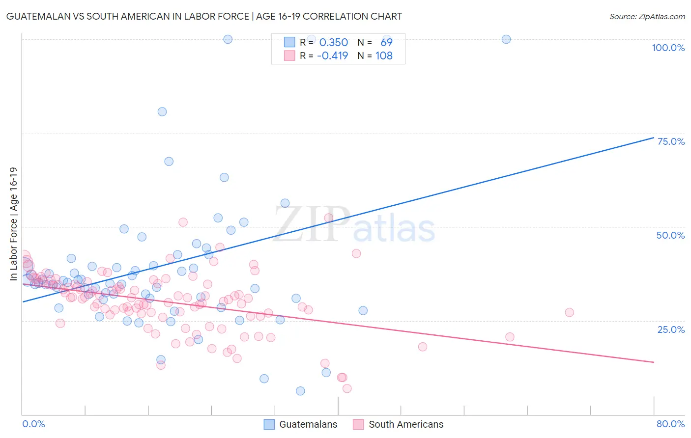 Guatemalan vs South American In Labor Force | Age 16-19