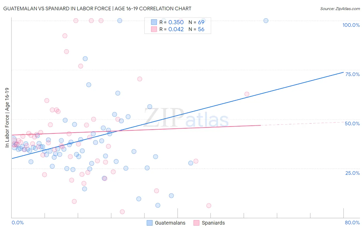 Guatemalan vs Spaniard In Labor Force | Age 16-19