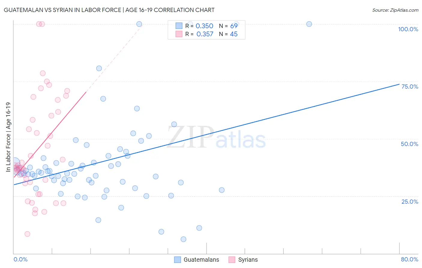 Guatemalan vs Syrian In Labor Force | Age 16-19