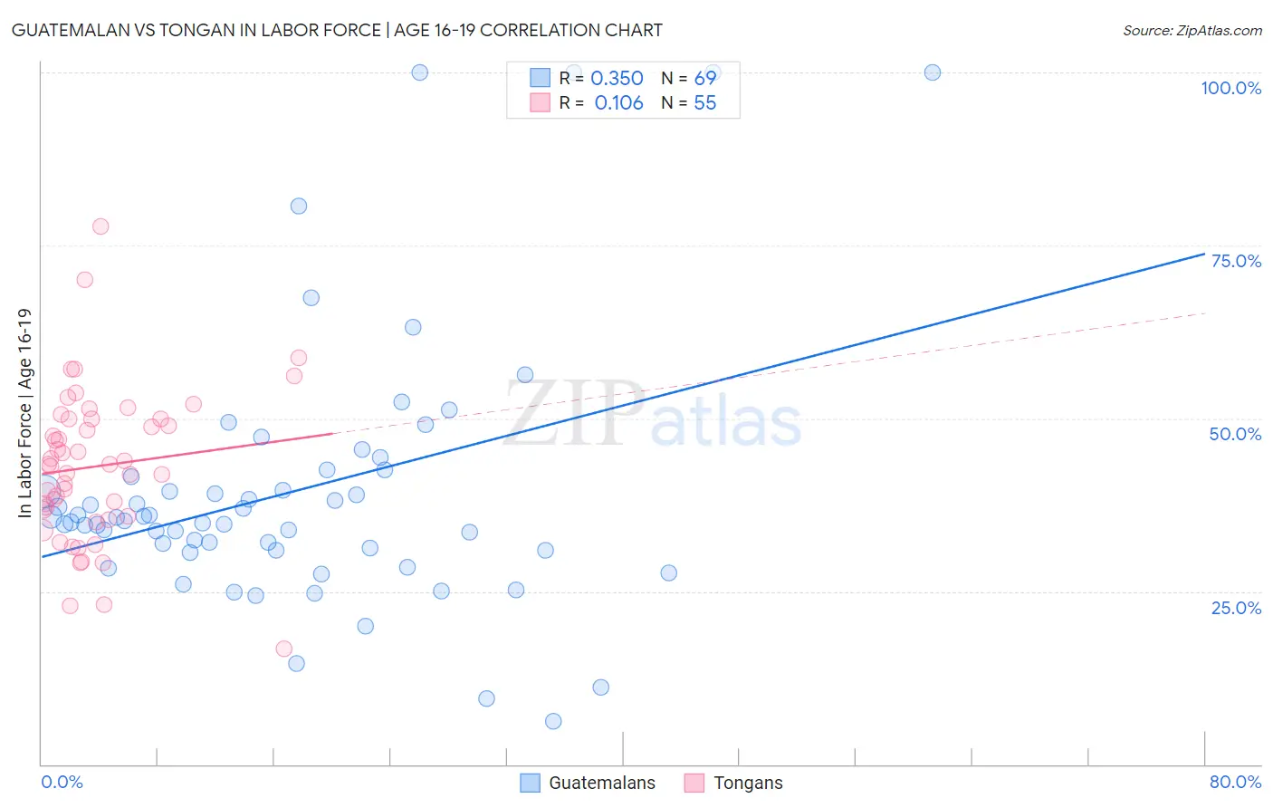 Guatemalan vs Tongan In Labor Force | Age 16-19