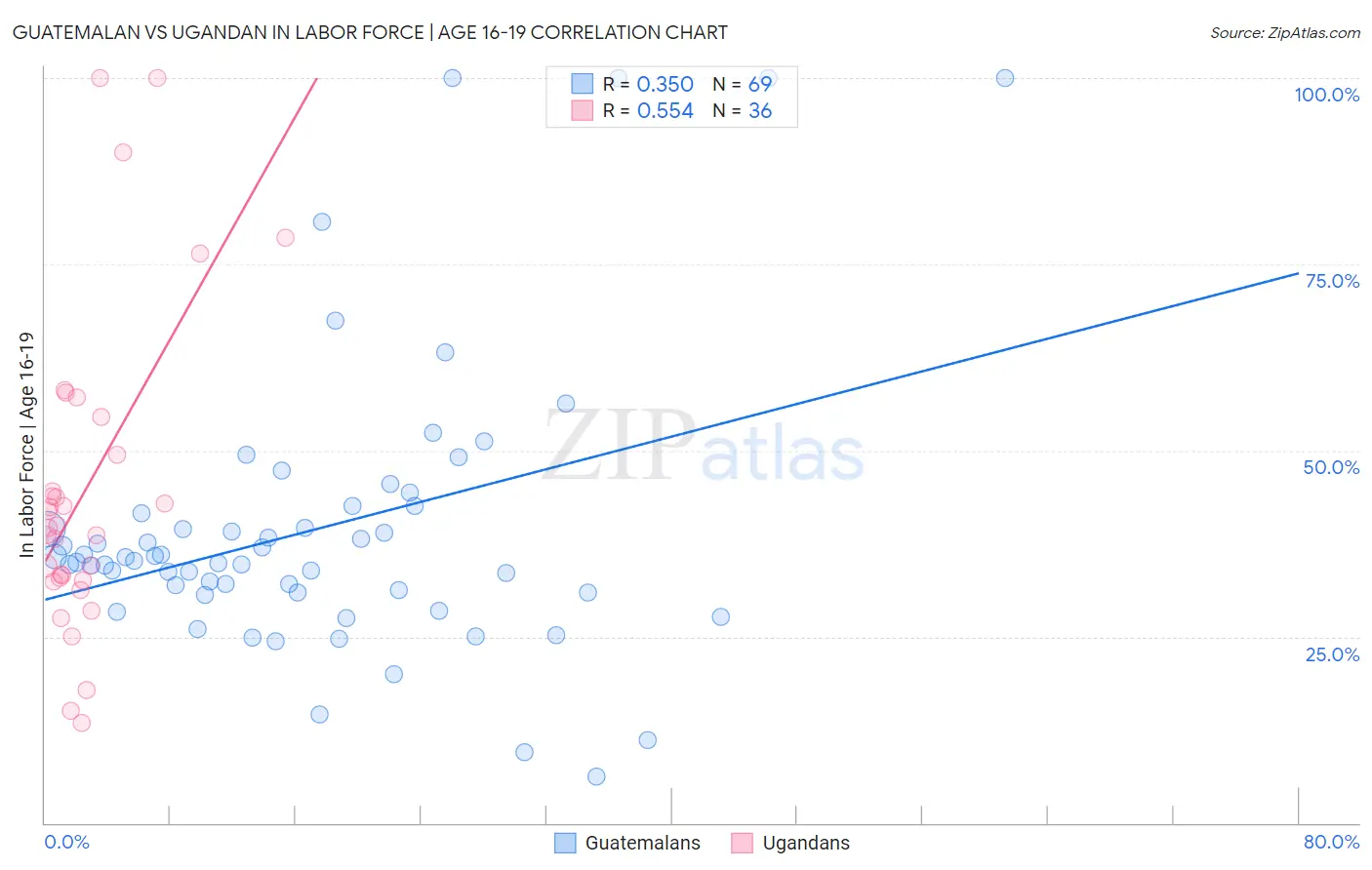 Guatemalan vs Ugandan In Labor Force | Age 16-19