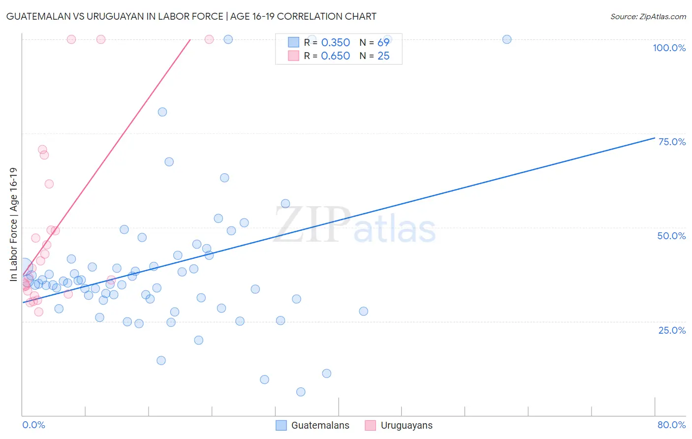 Guatemalan vs Uruguayan In Labor Force | Age 16-19