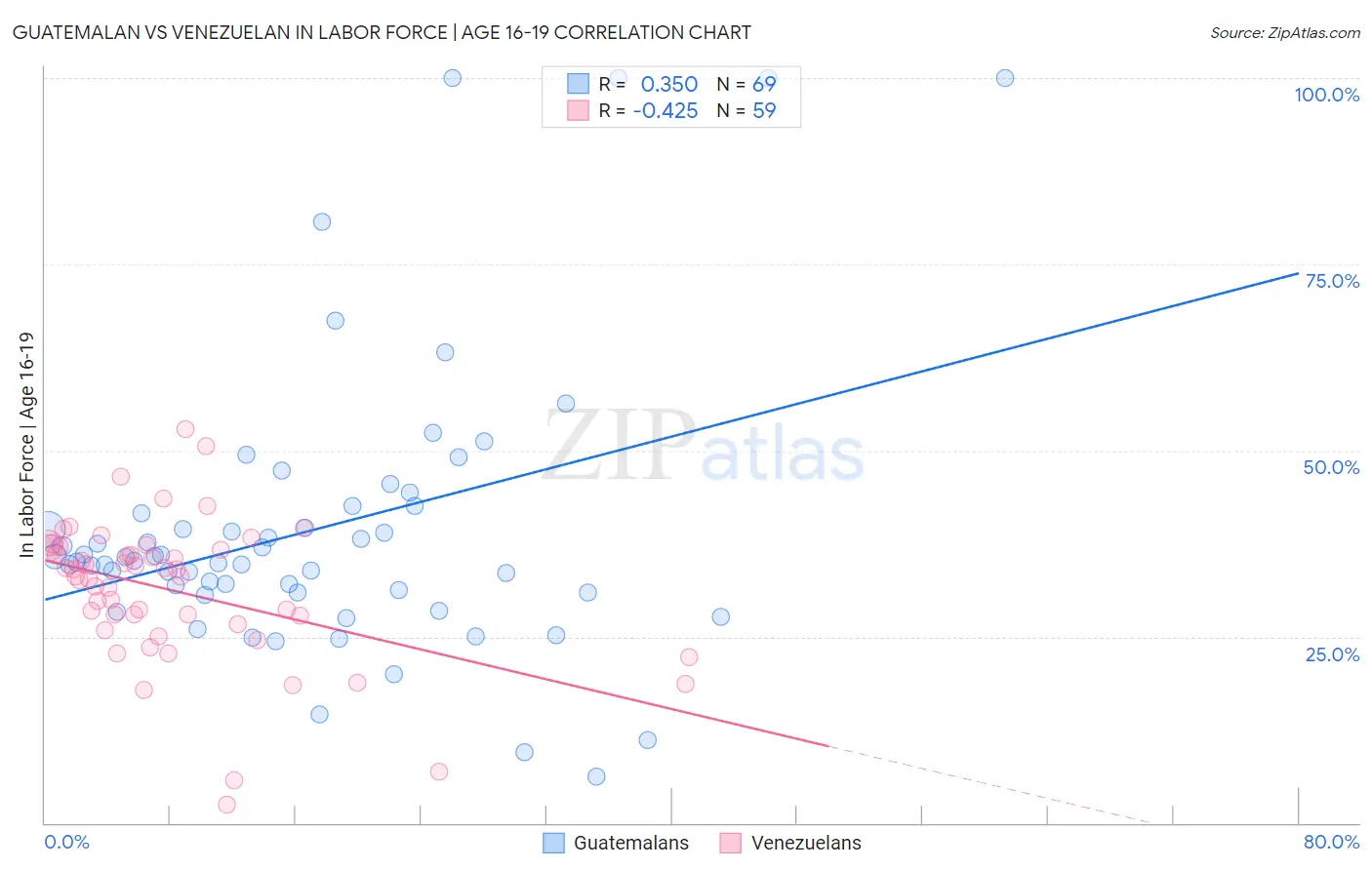 Guatemalan vs Venezuelan In Labor Force | Age 16-19