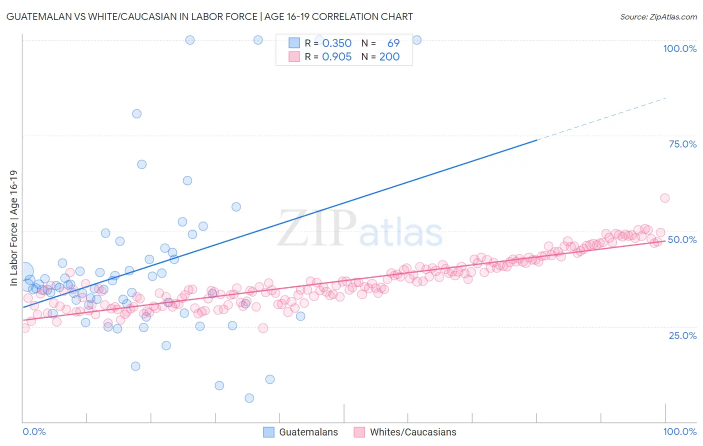 Guatemalan vs White/Caucasian In Labor Force | Age 16-19