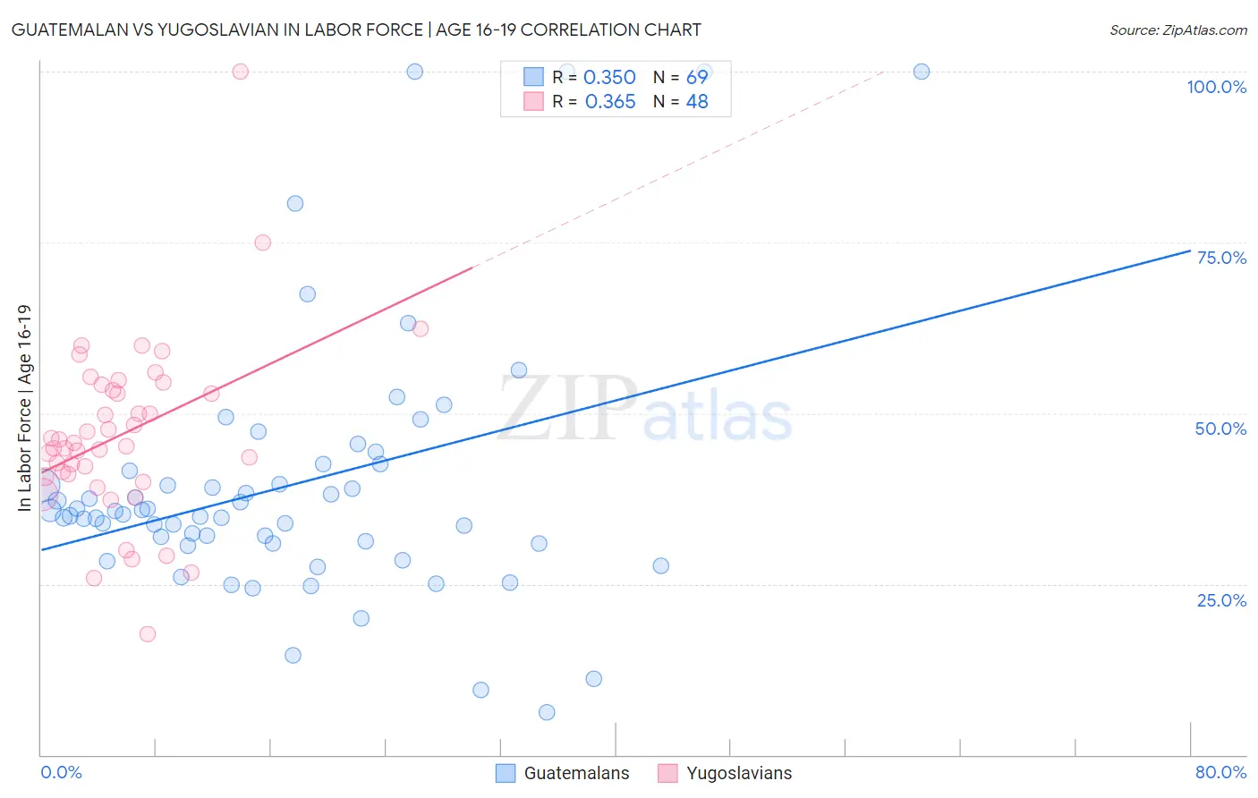 Guatemalan vs Yugoslavian In Labor Force | Age 16-19