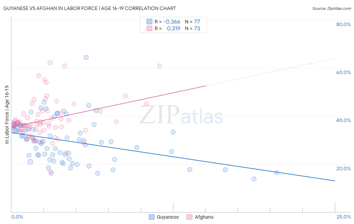 Guyanese vs Afghan In Labor Force | Age 16-19