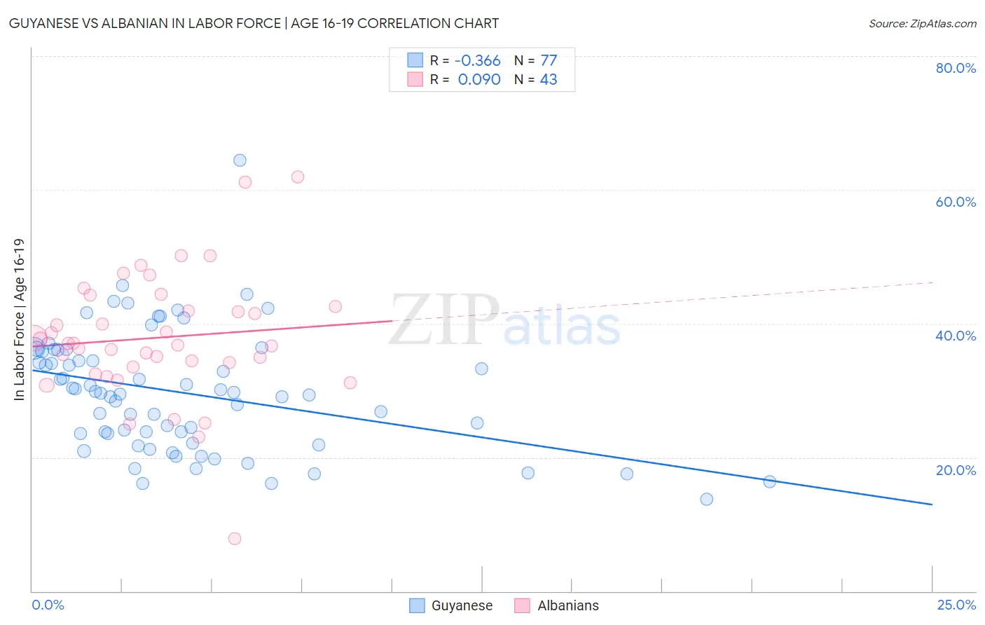 Guyanese vs Albanian In Labor Force | Age 16-19