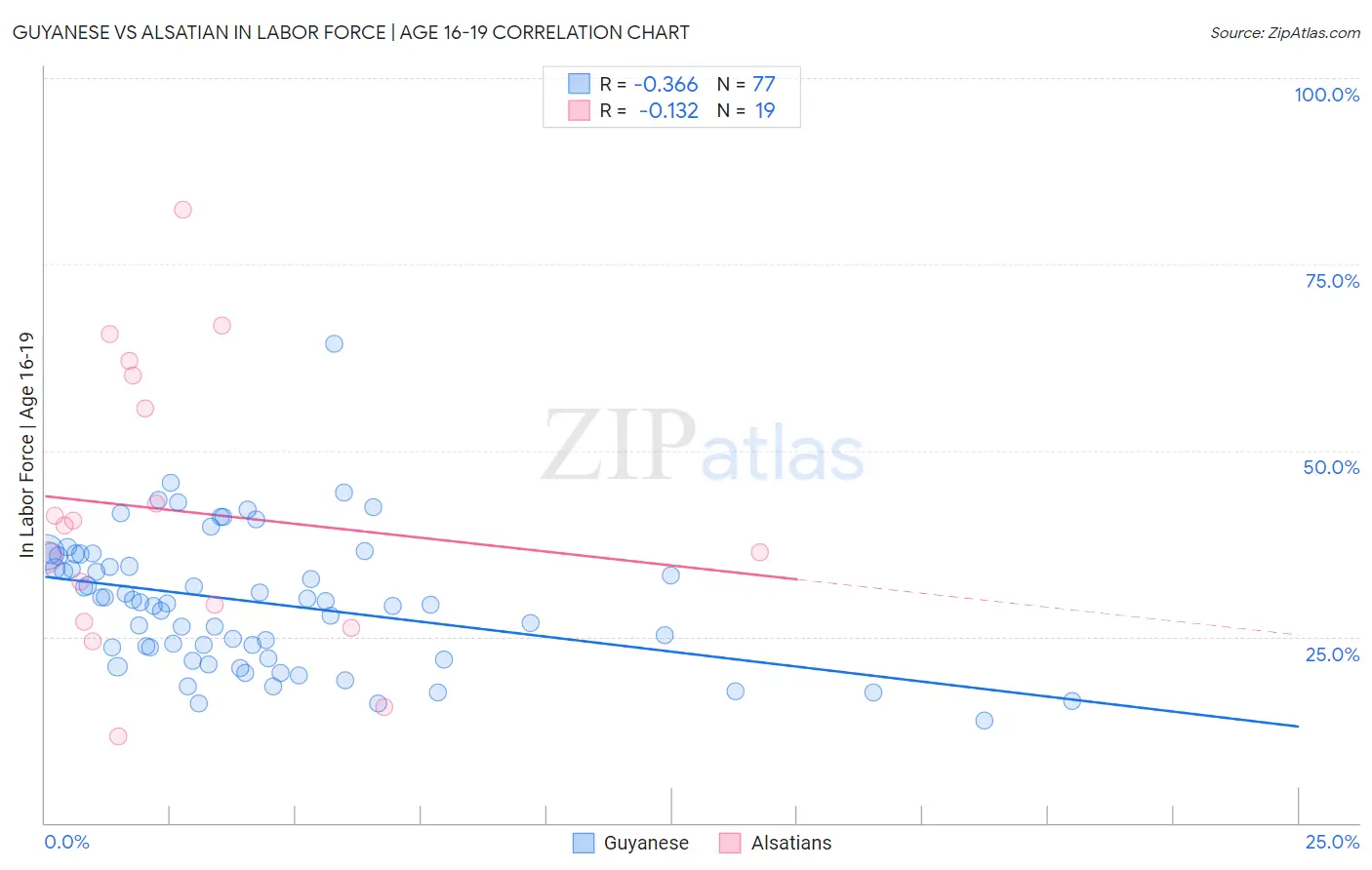 Guyanese vs Alsatian In Labor Force | Age 16-19