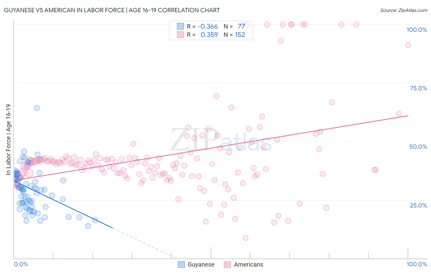 Guyanese vs American In Labor Force | Age 16-19