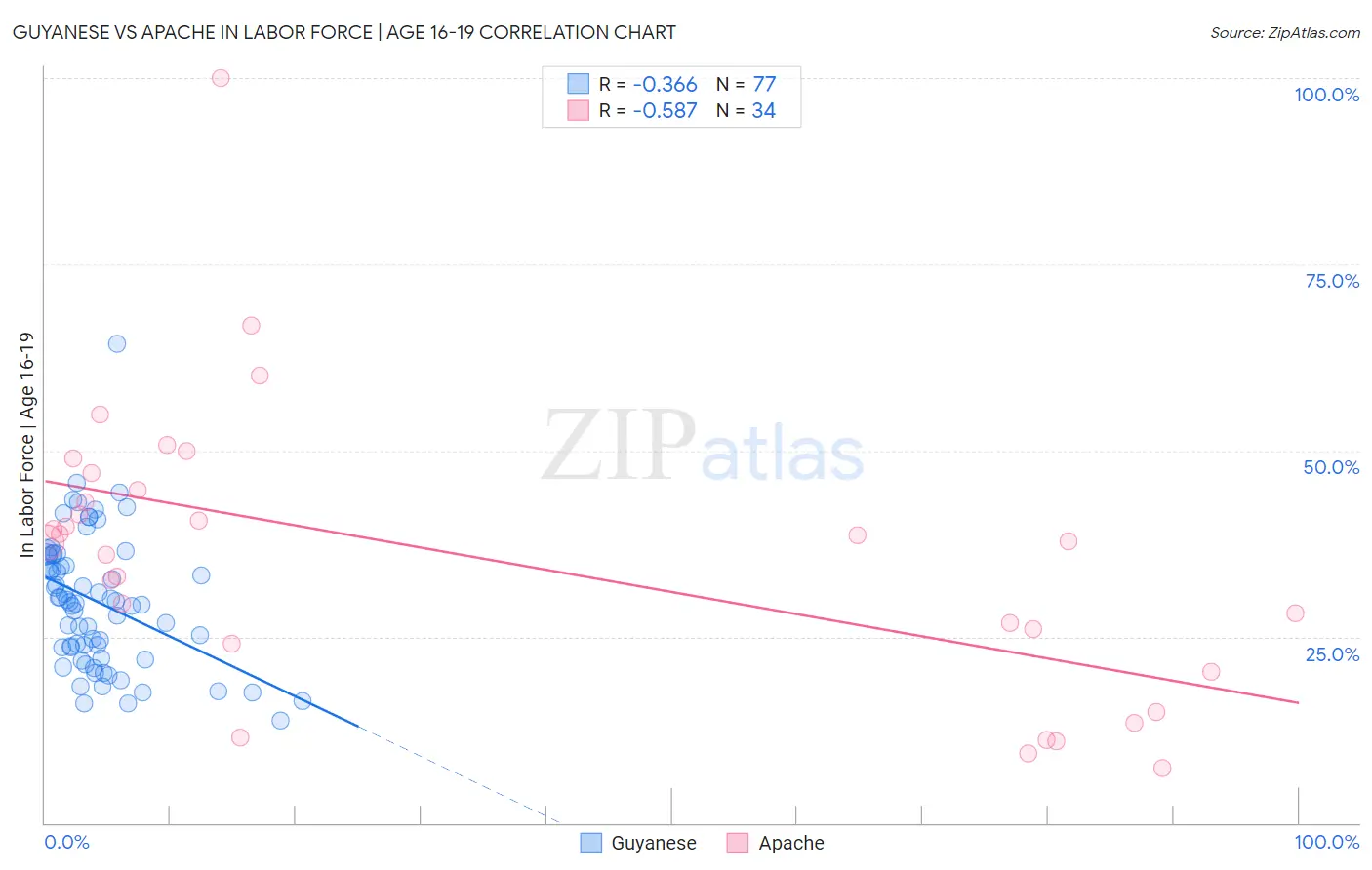Guyanese vs Apache In Labor Force | Age 16-19