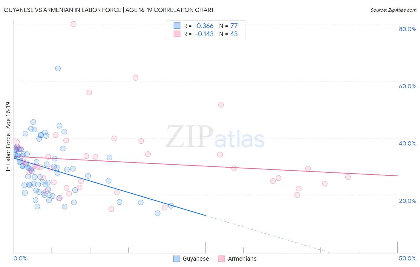 Guyanese vs Armenian In Labor Force | Age 16-19