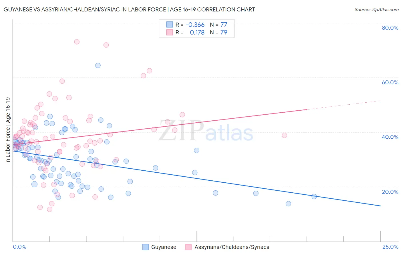Guyanese vs Assyrian/Chaldean/Syriac In Labor Force | Age 16-19