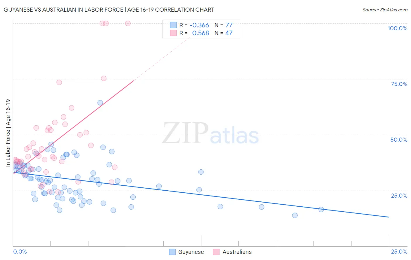 Guyanese vs Australian In Labor Force | Age 16-19