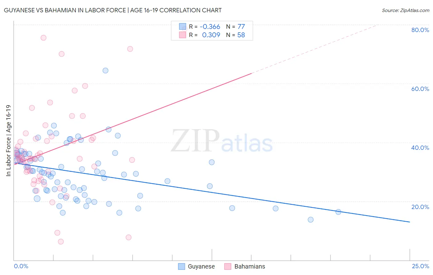 Guyanese vs Bahamian In Labor Force | Age 16-19