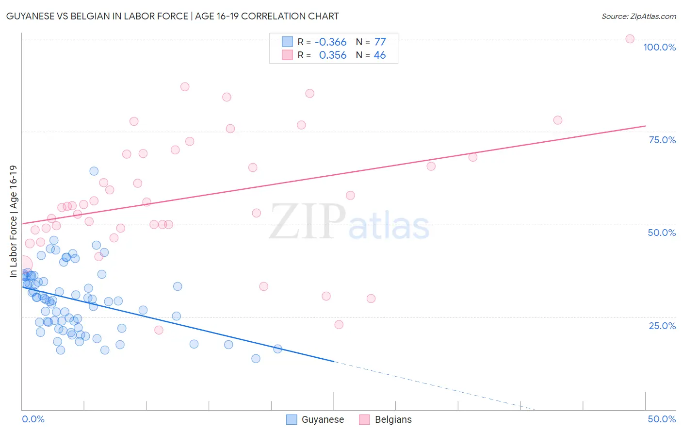Guyanese vs Belgian In Labor Force | Age 16-19