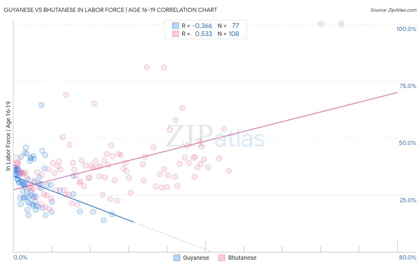 Guyanese vs Bhutanese In Labor Force | Age 16-19