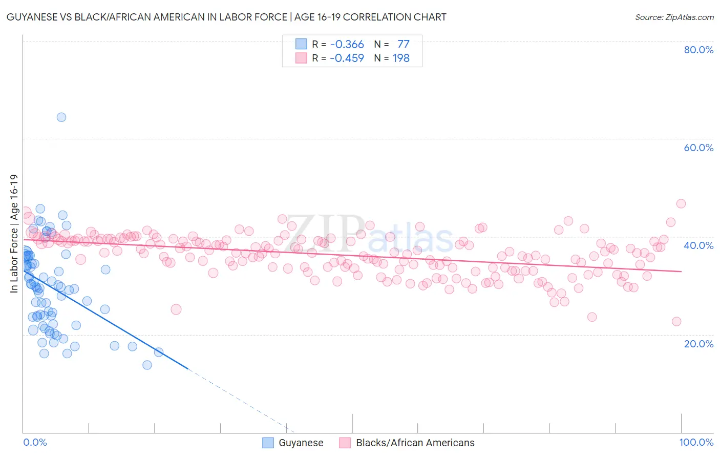 Guyanese vs Black/African American In Labor Force | Age 16-19