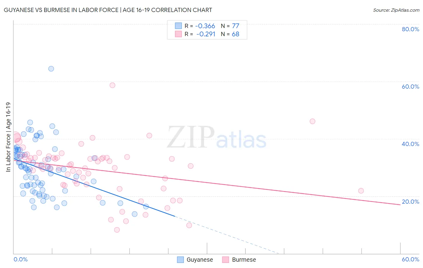 Guyanese vs Burmese In Labor Force | Age 16-19