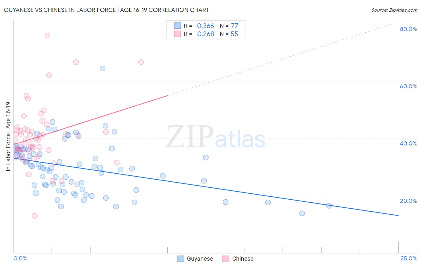 Guyanese vs Chinese In Labor Force | Age 16-19