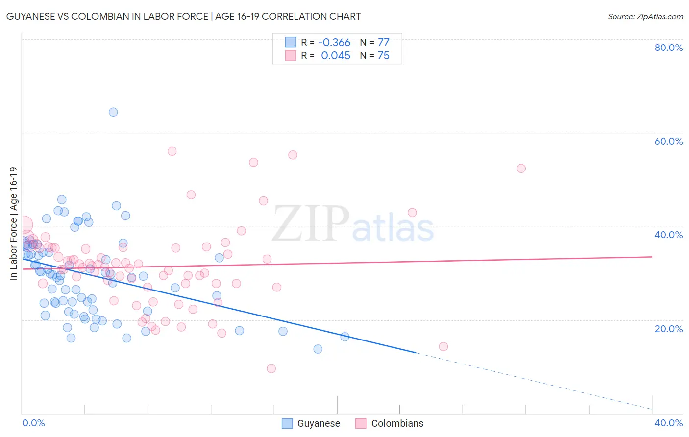 Guyanese vs Colombian In Labor Force | Age 16-19