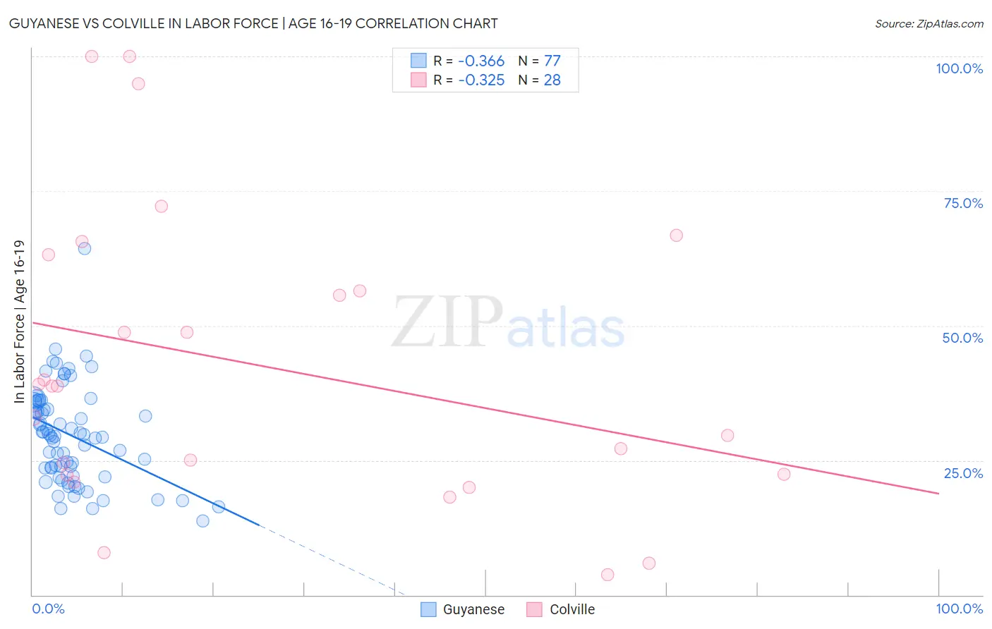 Guyanese vs Colville In Labor Force | Age 16-19