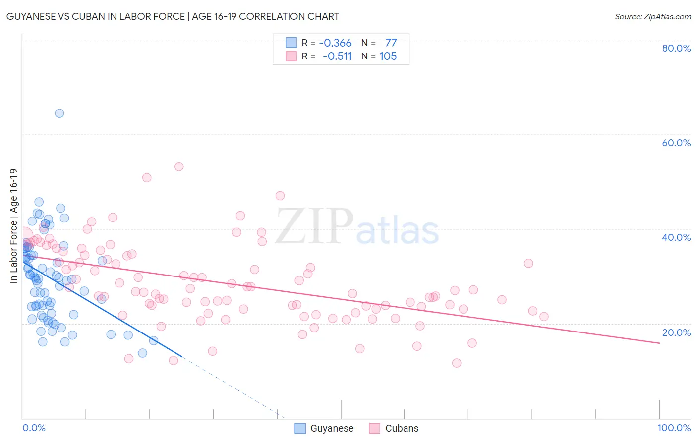 Guyanese vs Cuban In Labor Force | Age 16-19