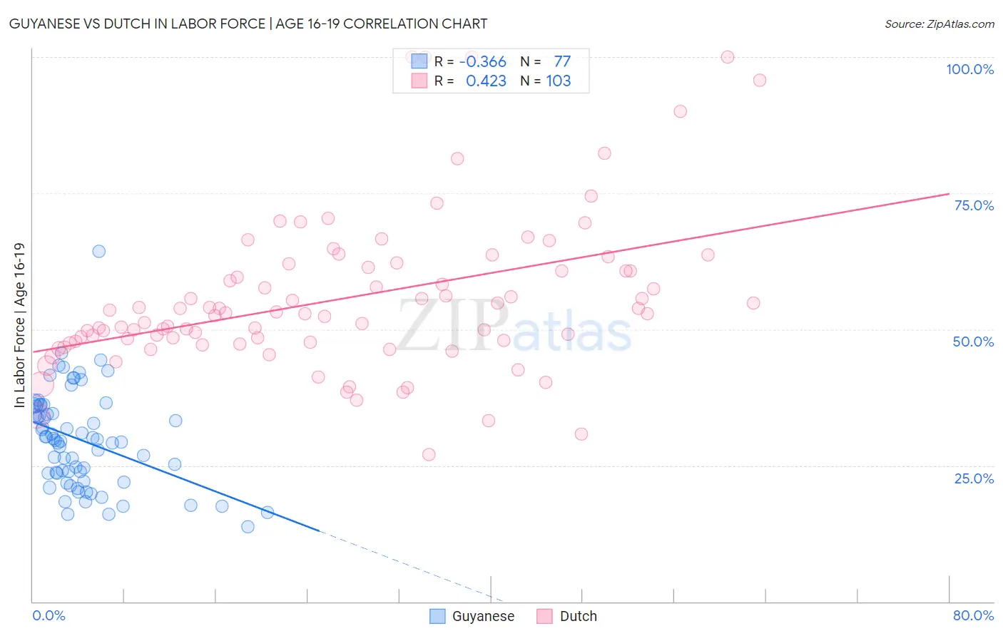 Guyanese vs Dutch In Labor Force | Age 16-19