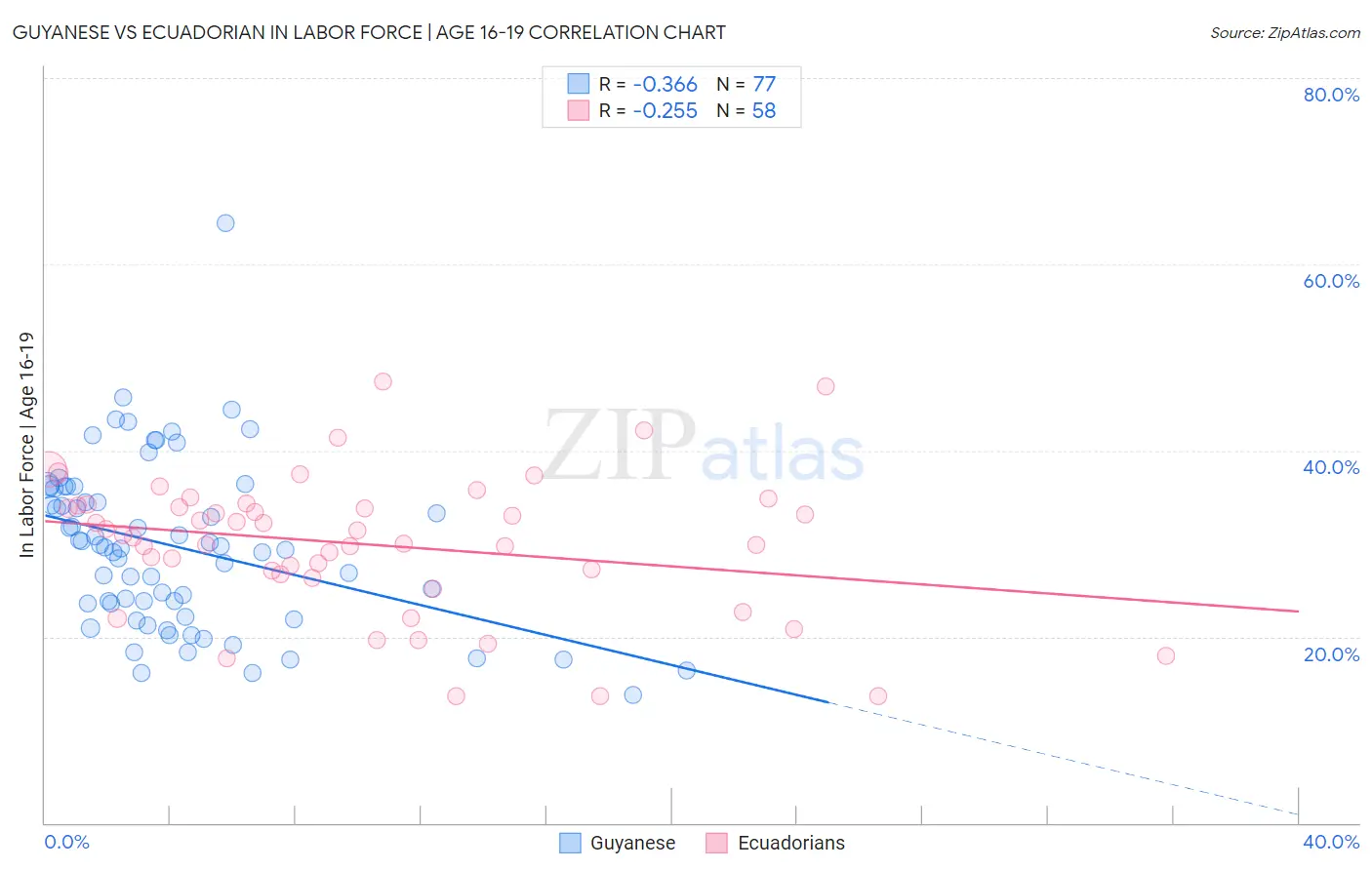 Guyanese vs Ecuadorian In Labor Force | Age 16-19