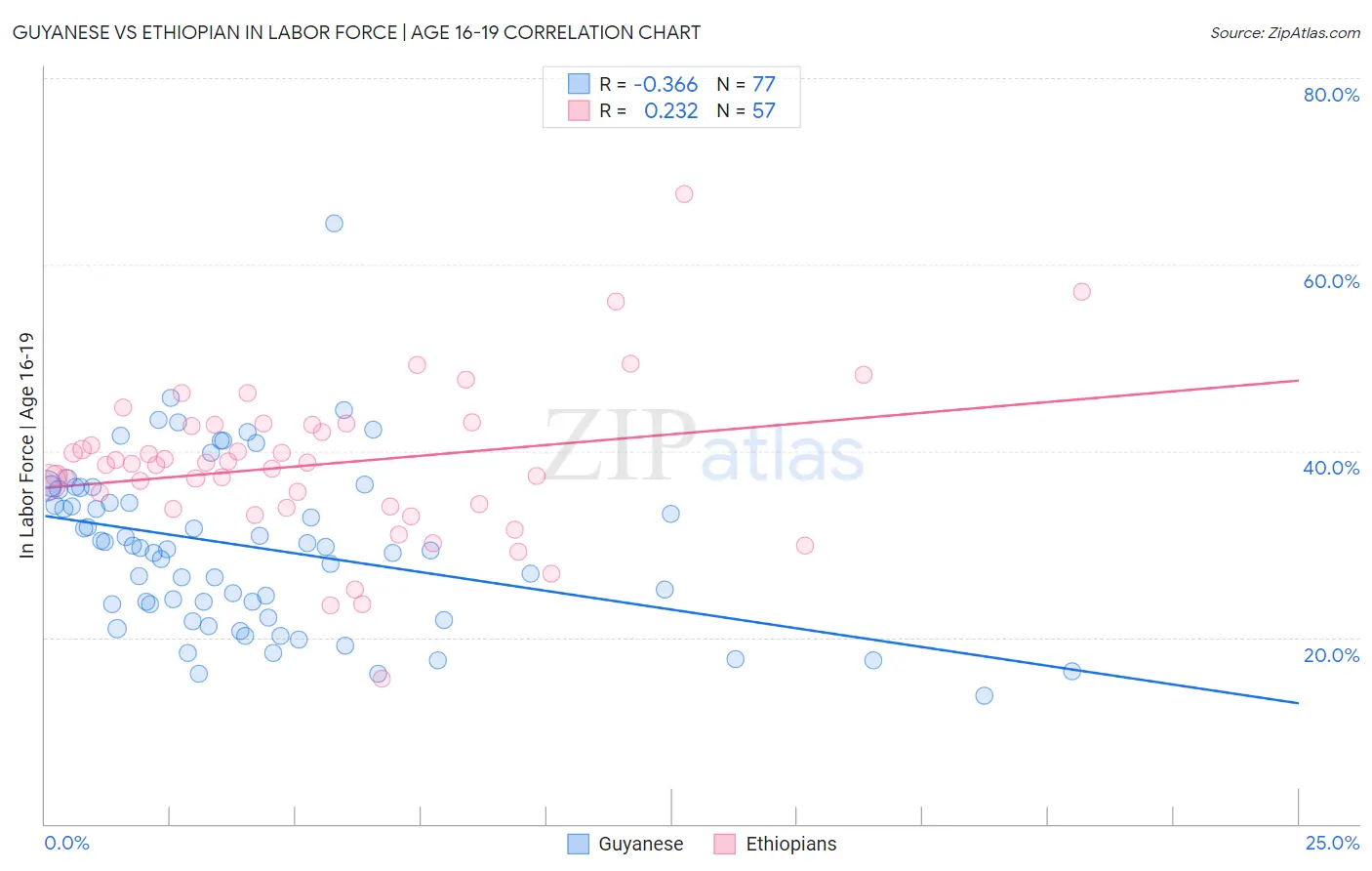 Guyanese vs Ethiopian In Labor Force | Age 16-19