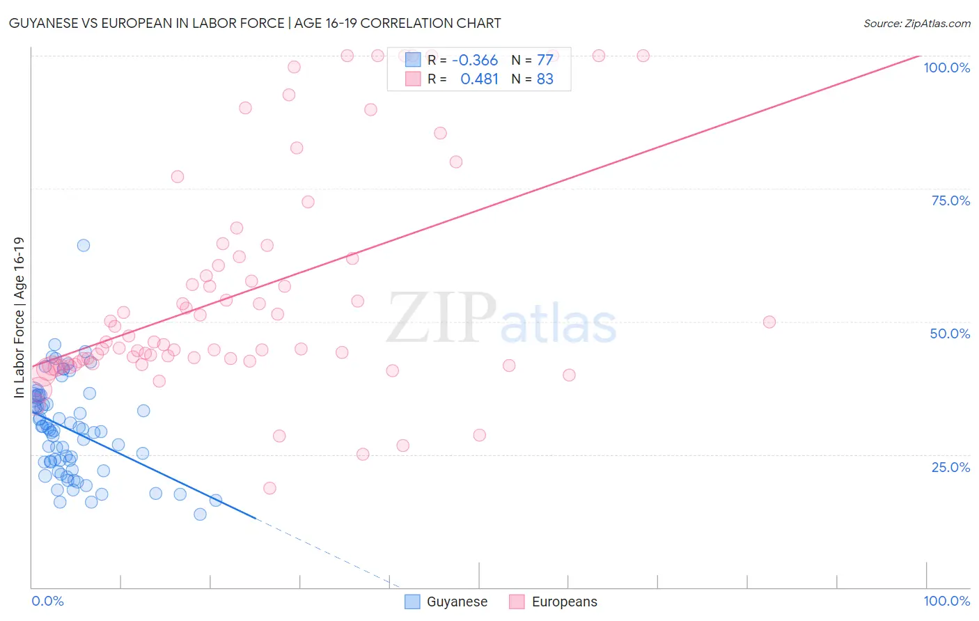 Guyanese vs European In Labor Force | Age 16-19