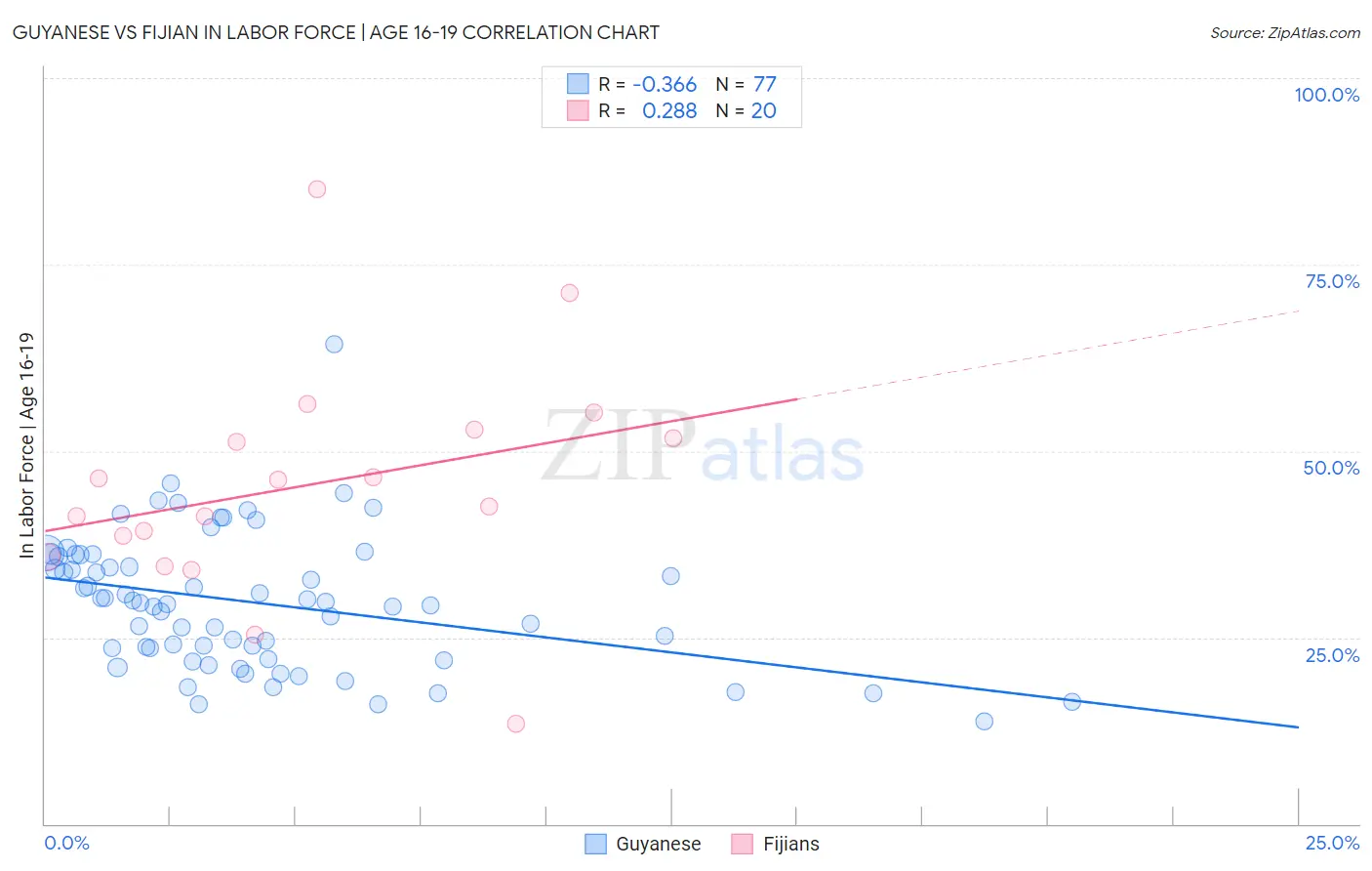 Guyanese vs Fijian In Labor Force | Age 16-19