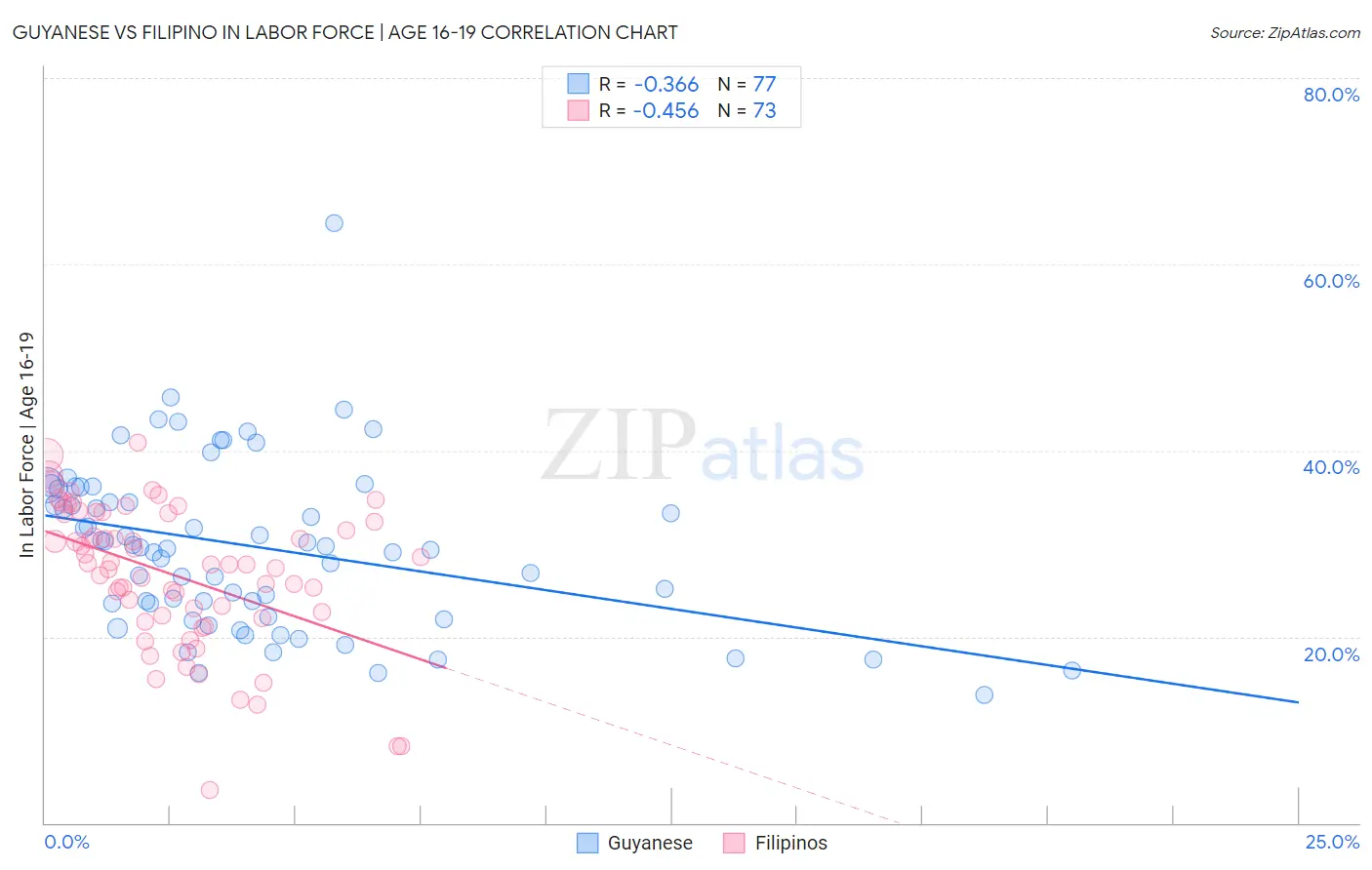 Guyanese vs Filipino In Labor Force | Age 16-19