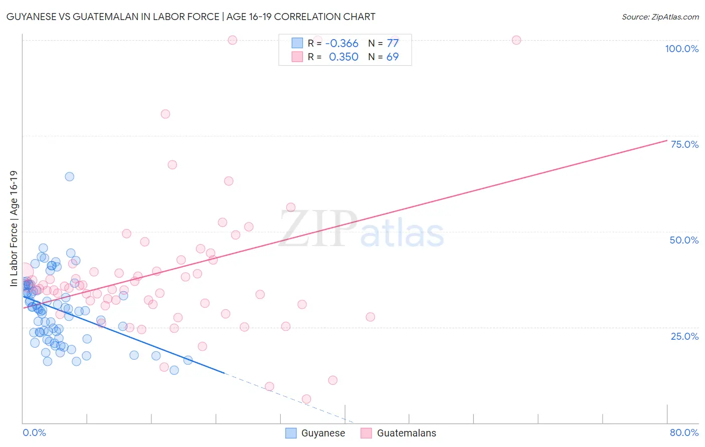 Guyanese vs Guatemalan In Labor Force | Age 16-19