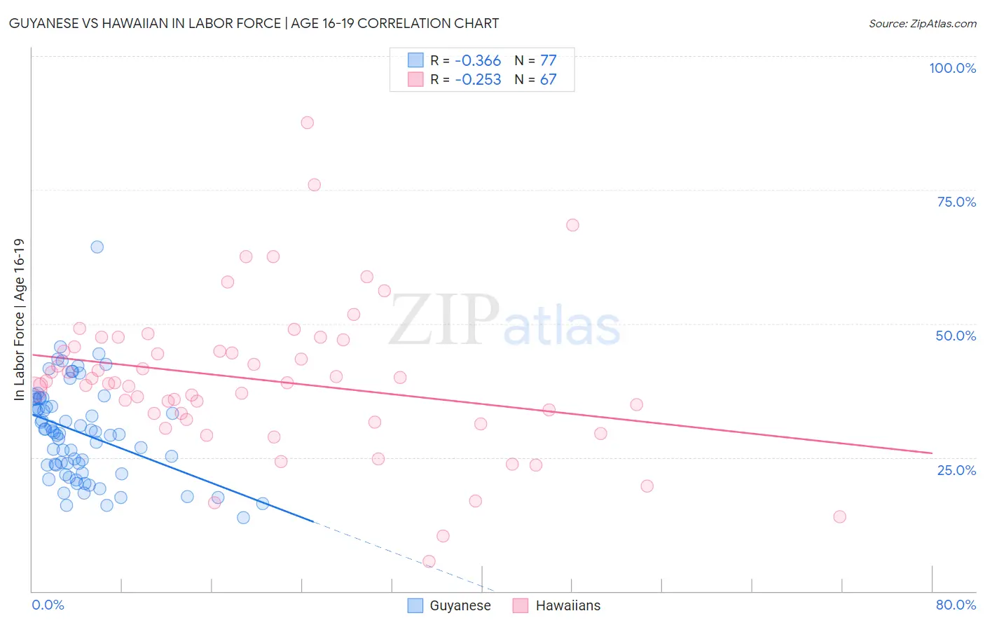 Guyanese vs Hawaiian In Labor Force | Age 16-19