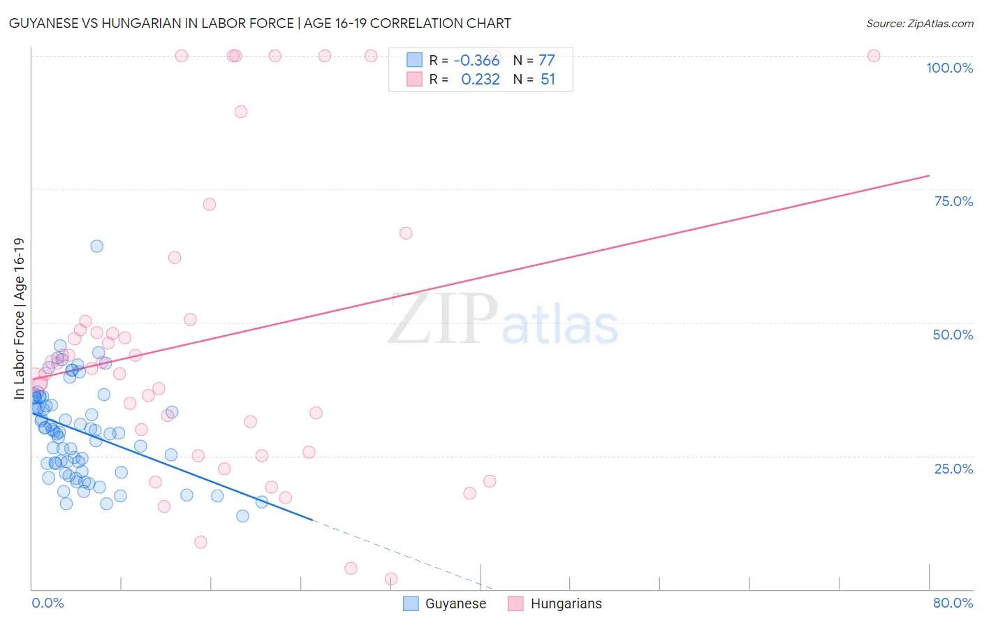 Guyanese vs Hungarian In Labor Force | Age 16-19