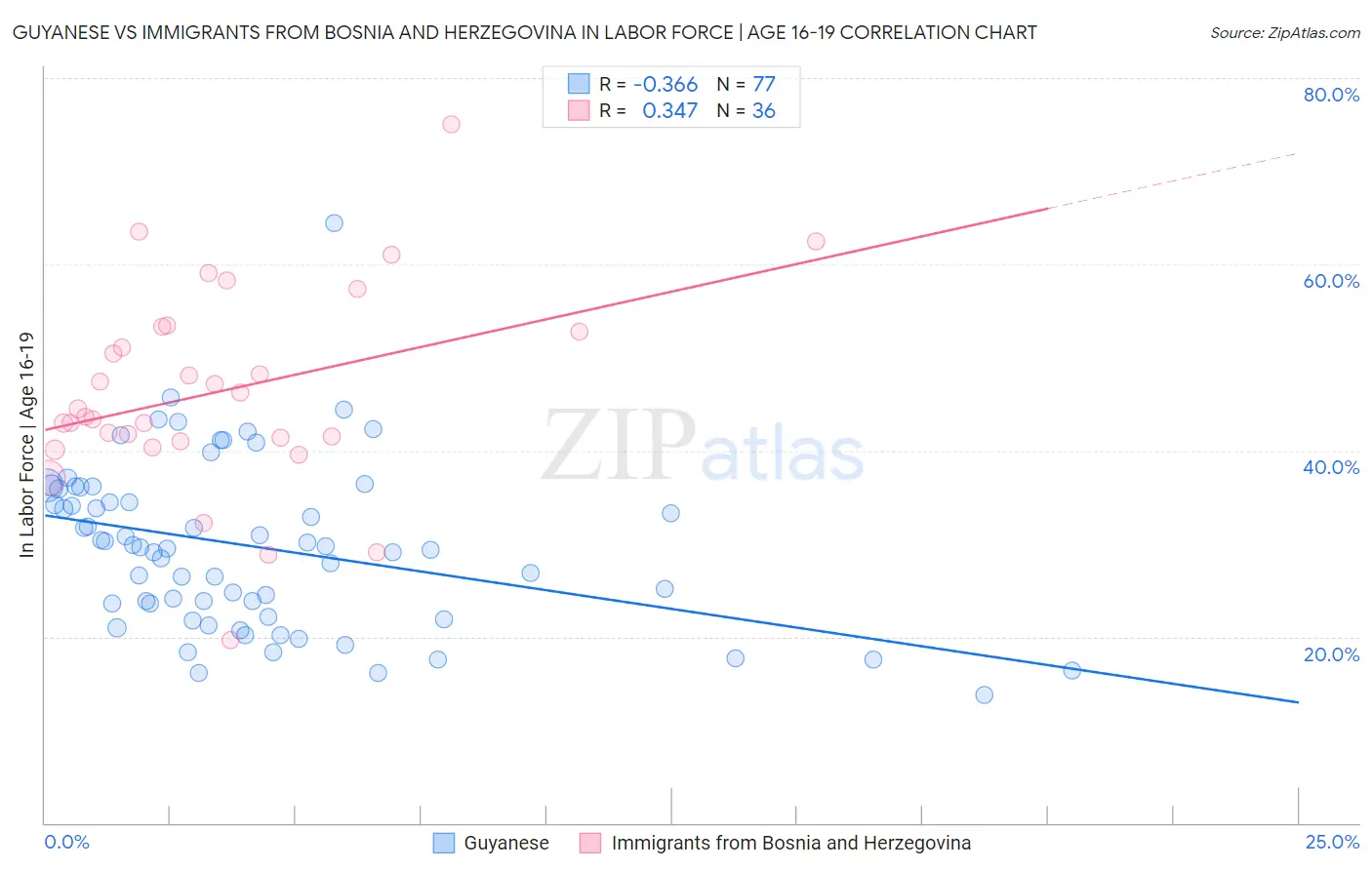 Guyanese vs Immigrants from Bosnia and Herzegovina In Labor Force | Age 16-19
