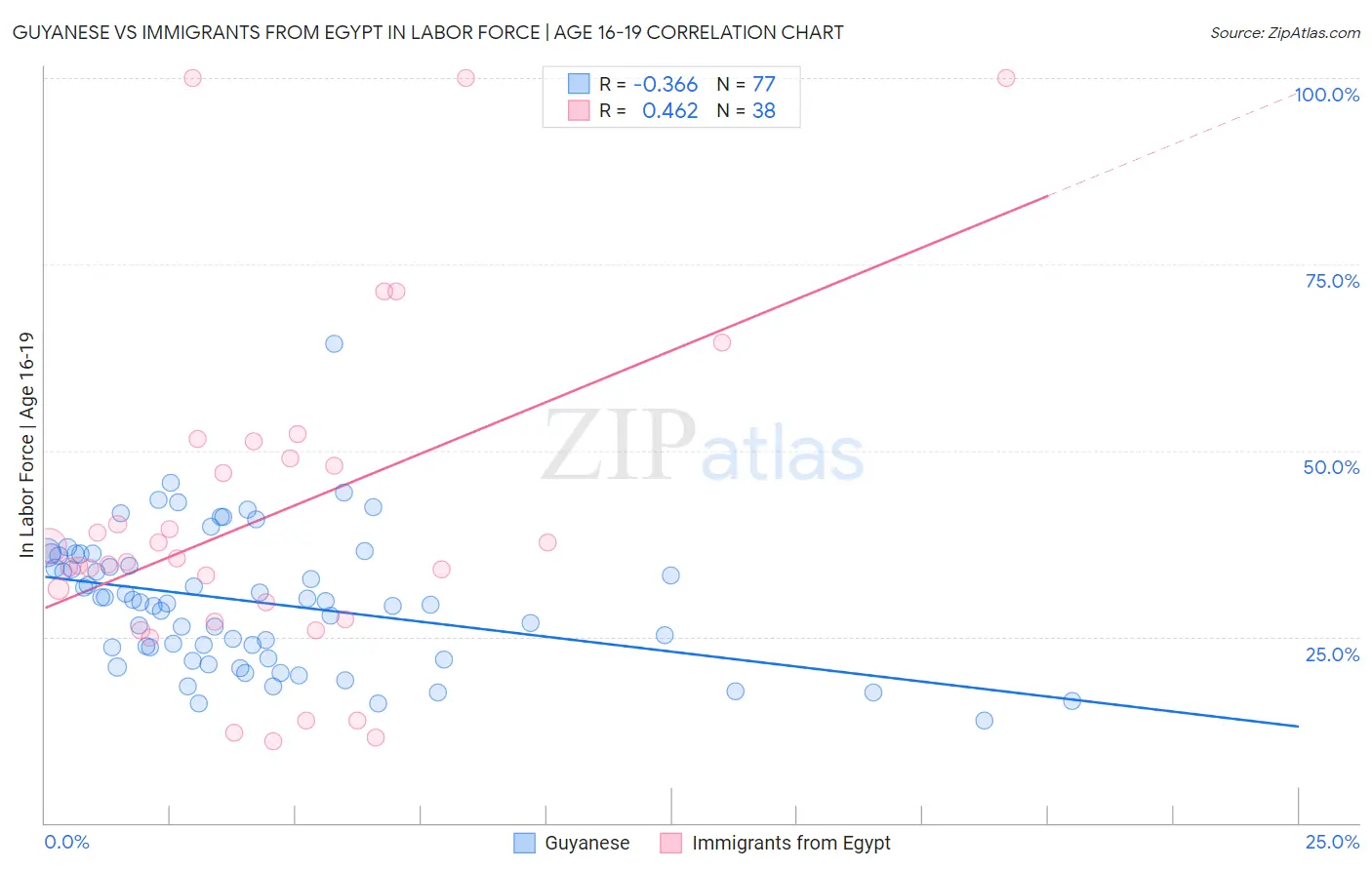 Guyanese vs Immigrants from Egypt In Labor Force | Age 16-19