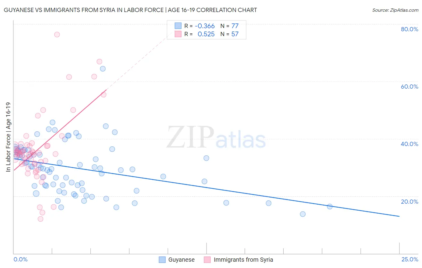 Guyanese vs Immigrants from Syria In Labor Force | Age 16-19