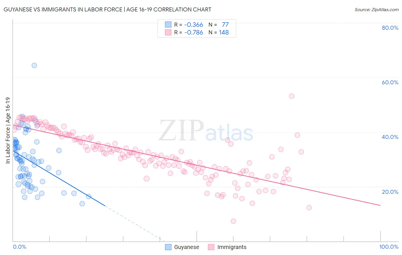 Guyanese vs Immigrants In Labor Force | Age 16-19