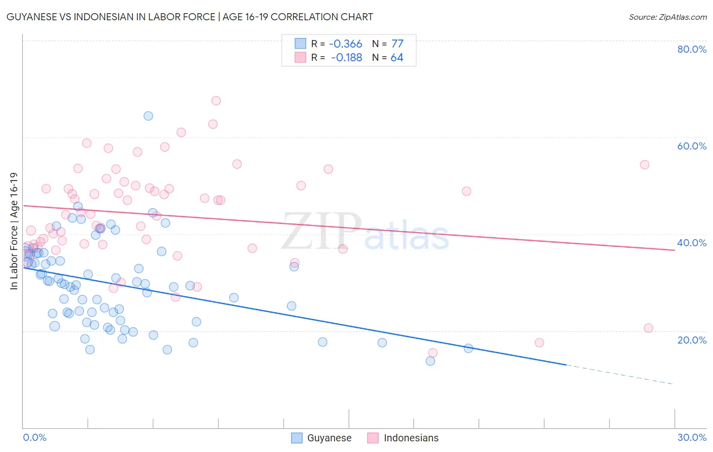 Guyanese vs Indonesian In Labor Force | Age 16-19