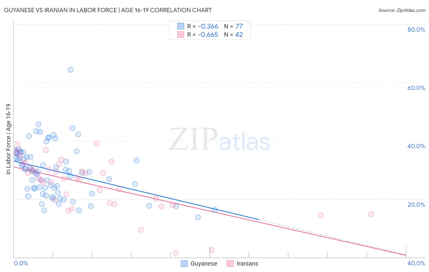 Guyanese vs Iranian In Labor Force | Age 16-19